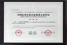 中国信息企业认证体系示范单位-亿丰YFA拉链厂